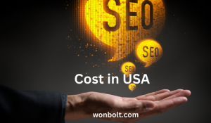 Seo cost in USA