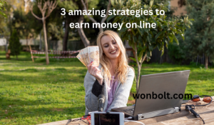 3 amazing strategies to earn money on line