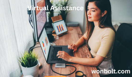 Best freelancing skills for beginners
Virtual Assistance