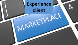 experience client marketplace SEO Eaze