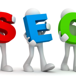 SEO Expert Service