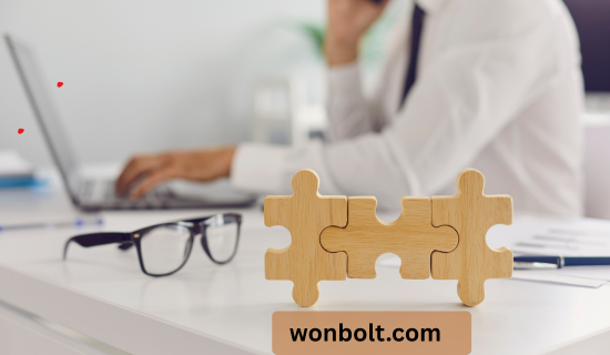 Niche Edit Links (6) - WONBOLT STORE Niche Edit Links