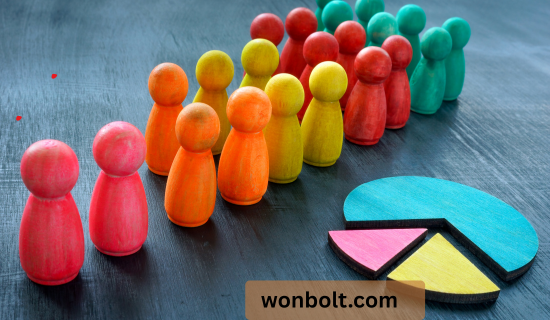 Niche Edit Links (7) - WONBOLT STORE Niche Edit Links