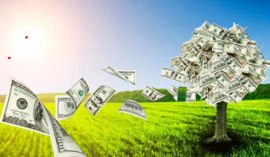 Content Strategy salary 6 - WONBOLT STORE Content Strategy salary