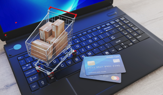 E-commerce website development Los Angeles 2 - WONBOLT STORE E-commerce website development Los Angeles