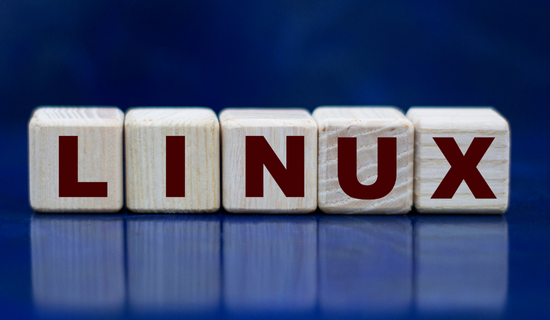 Linux Basics for Hackers