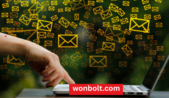 Professional Newsletter 1 - WONBOLT STORE Professional Newsletter