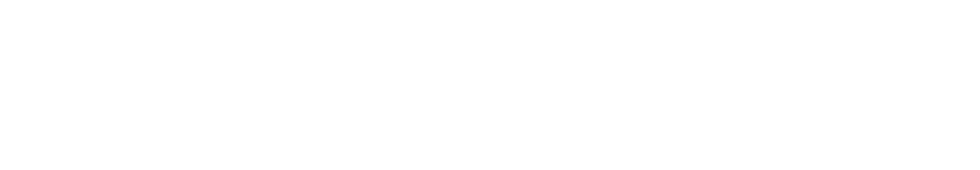 WONBOLT | Go-To SEO Partner