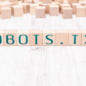 Blocked by Robots.txt