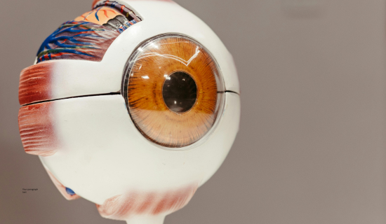 jobs with artificial intelligence