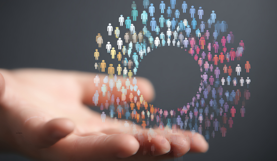 Seo optimization for WordPress