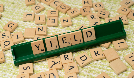 Find word search games